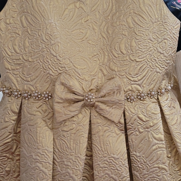 Golden American Princess dress size 8 - Picture 2 of 3